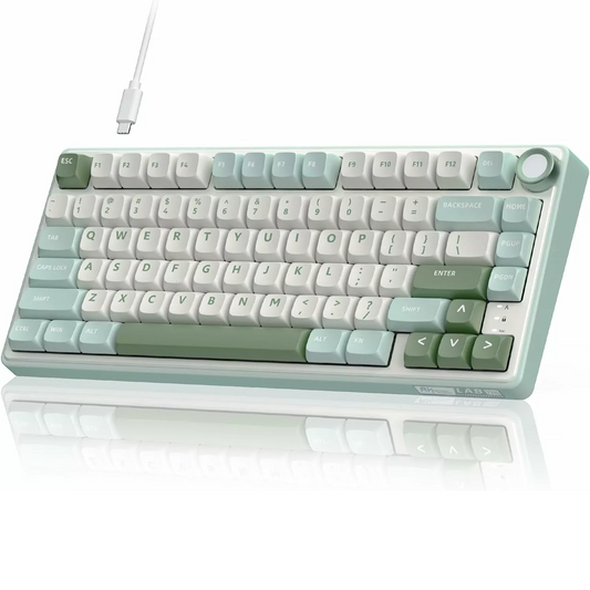 ROYAL KLUDGE RK R75 75% Wired Mechanical Gaming Keyboard ( Green ) ( Brown Switch )