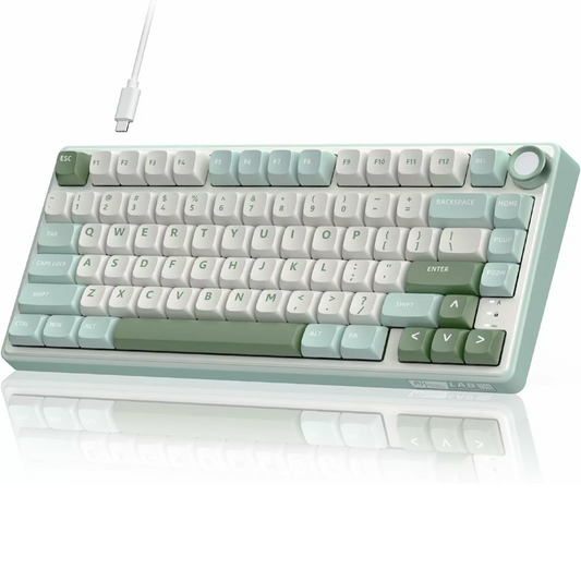 ROYAL KLUDGE RK R75 75% Wired Mechanical Gaming Keyboard ( Skycyan ) ( RK Silver Switch )