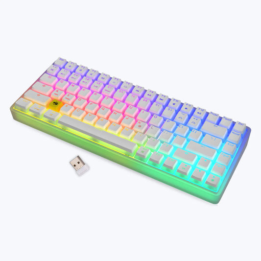 ZEBRONICS Max Ninja 200 75% RGB Mechanical Wireless Gaming Keyboard ( White ) ( Red Switch )