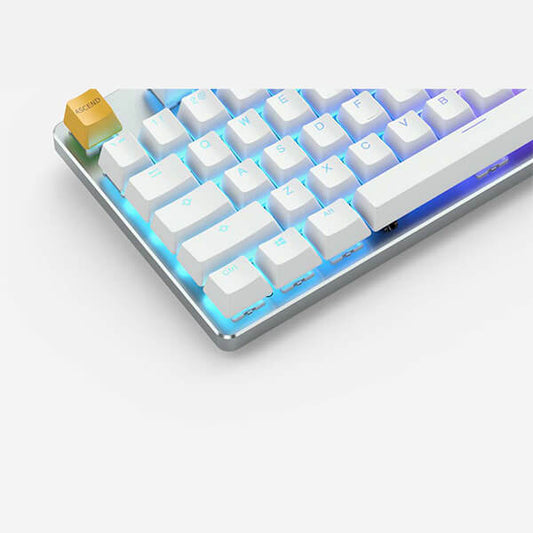 GLORIOUS GMMK Tenkeyless Semi Mechanical Wired Gaming Keyboard ( Black ) ( Modular MX Switches )