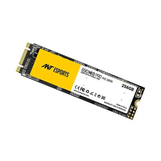 Ant Esports 690 Neo Pro 256GB M.2 SATA Internal SSD