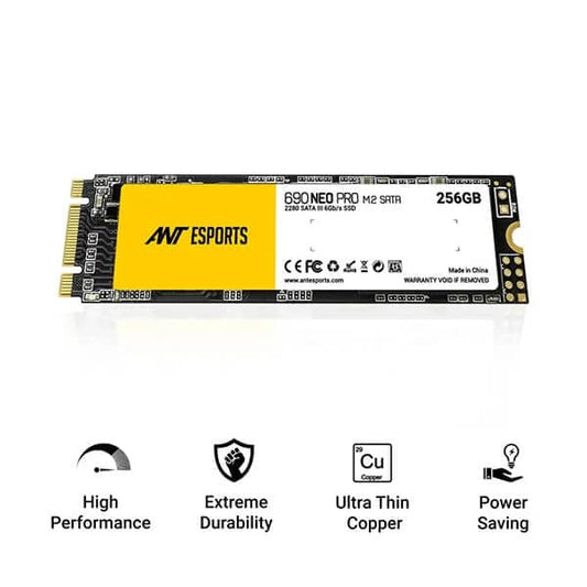 Ant Esports 690 Neo Pro 256GB M.2 SATA Internal SSD
