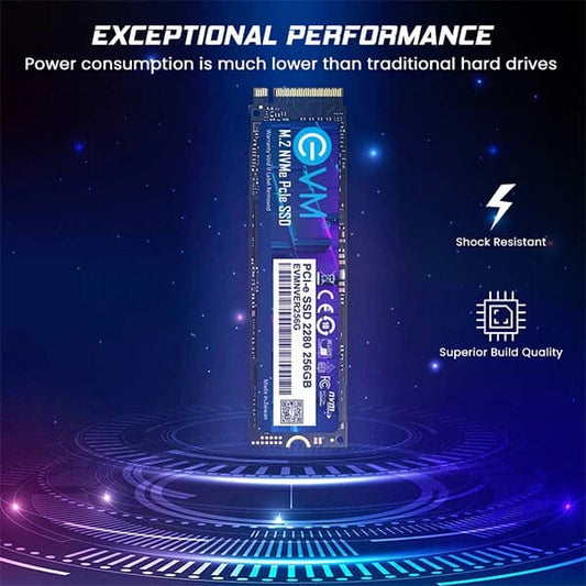 EVM 256GB M.2 NVME Internal SSD
