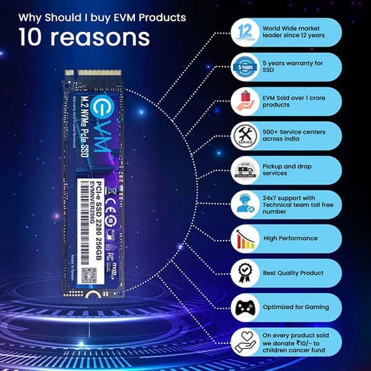EVM 256GB M.2 NVME Internal SSD