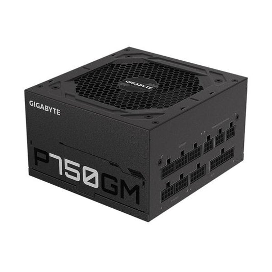 Gigabyte P750GM Gold Fully Modular PSU (750 Watt)