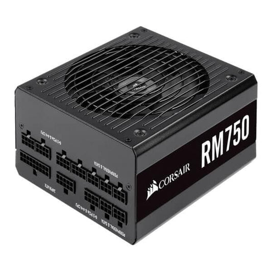 Corsair RM750 Gold Fully Modular PSU (750 Watt)