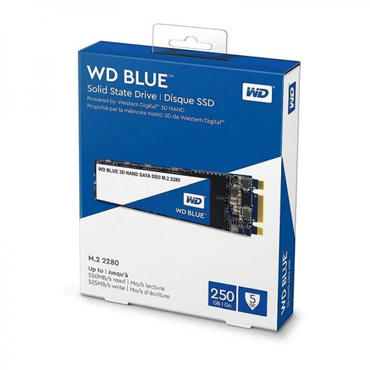 Western Digital Blue 250GB M.2 SATA SSD