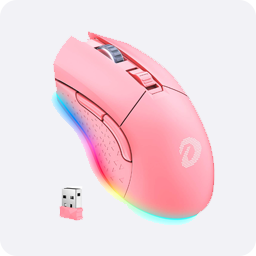 Gaming Mouse - Wireless / Wired