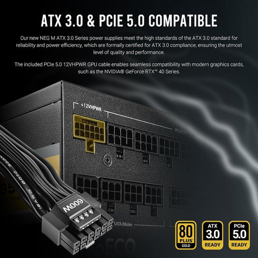 ANTEC NE1000G 1000W 80+ Gold Fully Modular ATX 3.0 Power Supply