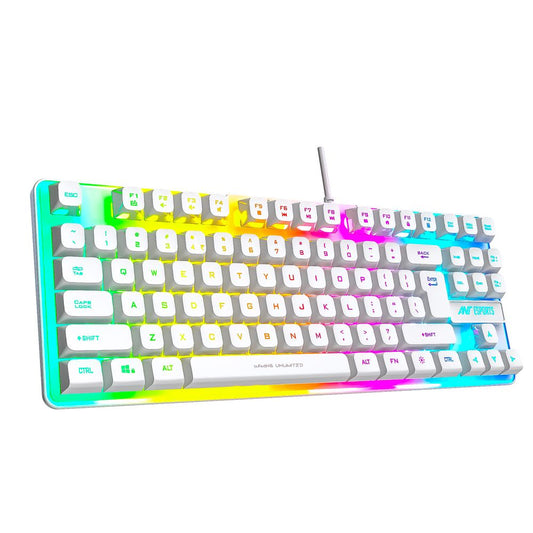 ANT ESPORTS MK700 V2 TKL Membrane Wired RGB Backlit Gaming Keyboard ( White )