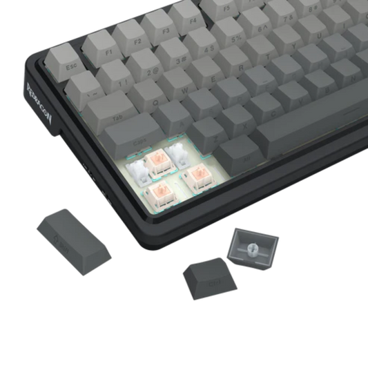 REDRAGON Eisa K686 Pro 96% Mechanical RGB Wireless Gaming Keyboard ( Concerete Jungle ) (  Custom Linear Switch )