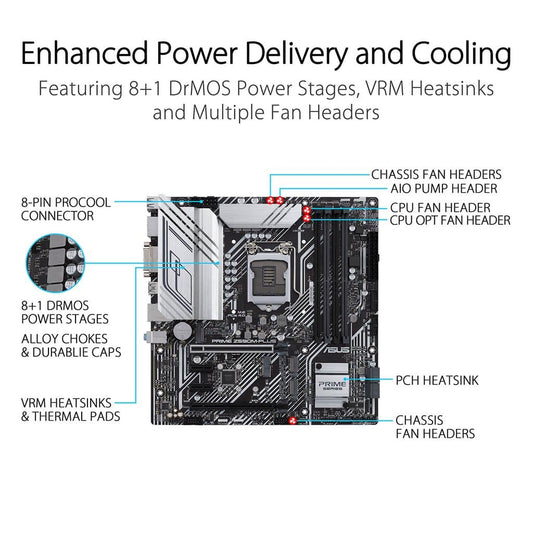 ASUS Prime Z590M Plus Motherboard