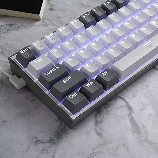 Redragon K617 Fizz Mechanical Gaming Keyboard (White & Grey)