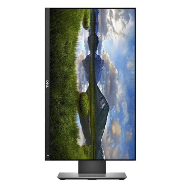 DELL P2419H 60hz (リソソーム) Dell P2419H 24