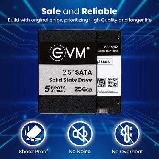 EVM 256GB 2.5 inch SATA Internal SSD