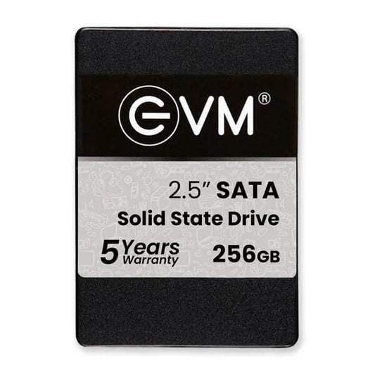 EVM 256GB 2.5 inch SATA Internal SSD