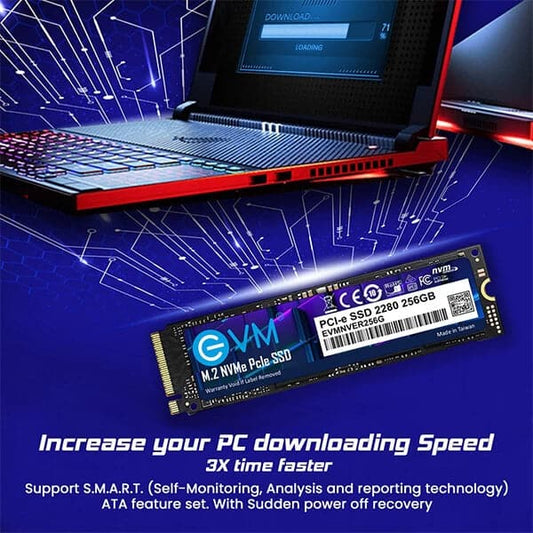 EVM 256GB M.2 NVME Internal SSD